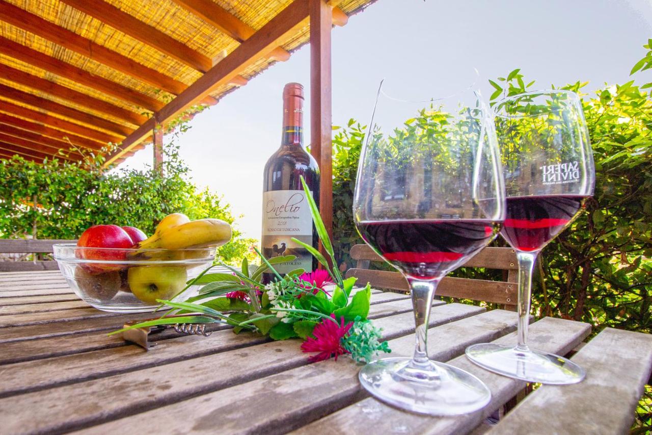 Agriturismo Poggio Pistolese Монтайоне Экстерьер фото